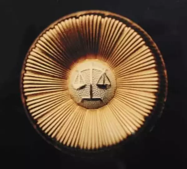 成年後見の弁護士報酬巡り提訴　利用者本人に無断ならば「違法」