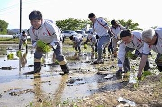 アイリス、コメ栽培に参入　農家支援や安定供給を狙い