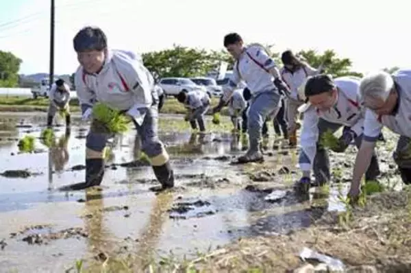 アイリス、コメ栽培に参入　農家支援や安定供給を狙い