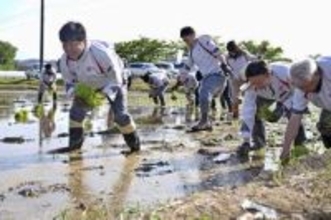 アイリス、コメ栽培に参入　農家支援や安定供給を狙い