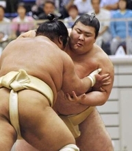 熱海富士、大関昇進へ充実の稽古　計10番、巨体生かした攻め
