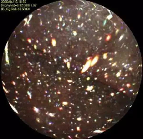 原子炉の炉心隔壁に変形見られず　福島第1、圧力容器内部調査