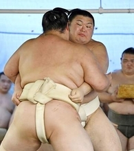 大の里が名古屋場所出場へ　左肩痛で2場所連続休場