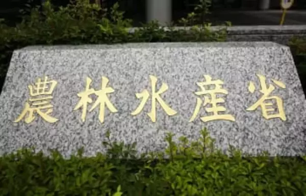 コメの民間備蓄導入「疑問多い」　需給逼迫の放出指示に懸念