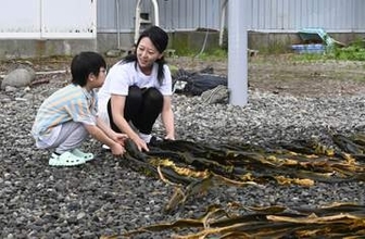羅臼昆布の魅力、漁師夫婦の宿で体験　冷蔵庫に「だし」常備、国後島も一望の立地