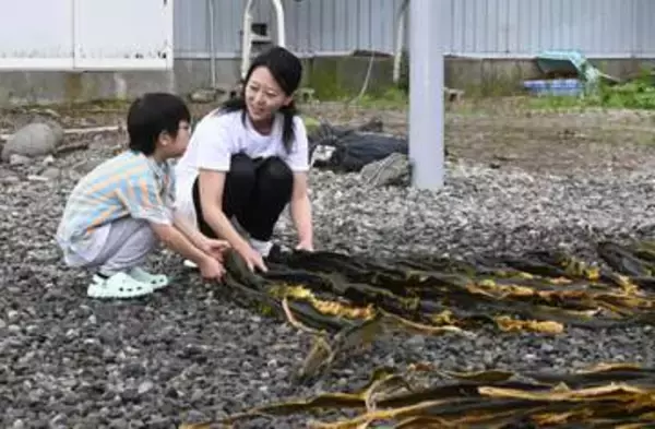 羅臼昆布の魅力、漁師夫婦の宿で体験　冷蔵庫に「だし」常備、国後島も一望の立地