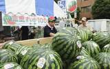 「栽培100年！スイカ一色に染まる町　千葉・富里、際立つ甘みを熱烈アピール」の画像1