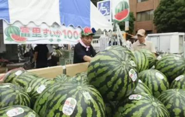 栽培100年！スイカ一色に染まる町　千葉・富里、際立つ甘みを熱烈アピール