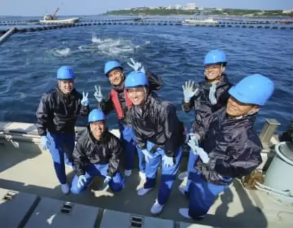 DeNA新人小田らマグロに舌鼓　沖縄県本部町の養殖場