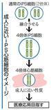 「成人に近いiPS心筋細胞作製　心不全治療へ応用目指す」の画像1