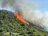 「広島・福山で山林火災　けが人はなし」の画像1