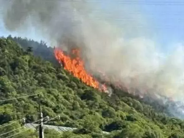 広島・福山で山林火災　けが人はなし