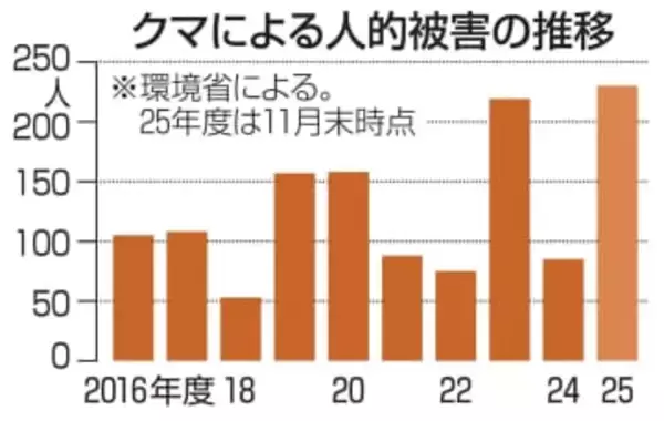 クマ被害者、最多230人　4～11月の集計、環境省