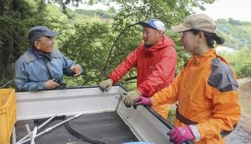 梅産地で収穫手助け、和歌山・みなべ町　交流通じて充足感も