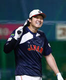 「大谷、連日のフリー打撃　9本柵越え、5階席への当たりも」の画像1