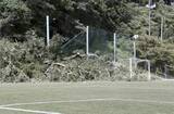 「静岡・御殿場で倒木、7人重軽傷　「時之栖」サッカーの試合中」の画像1