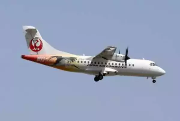 欠航JAC機内でシマヘビ発見　40cm、19日の鹿児島便