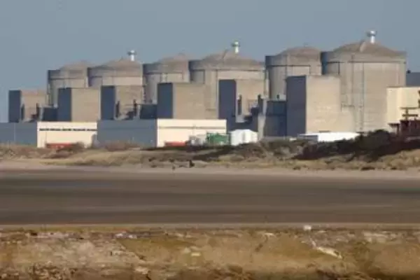 クラゲ大量発生で原発停止　フランス北部、ポンプに流入