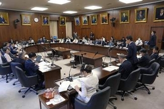 処罰対象の明確化困難　国旗損壊罪、参院審議入り