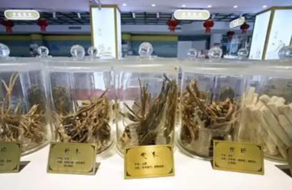 若者、伝統医薬の健康法を再評価　激しい競争社会で癒やし求め