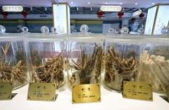 若者、伝統医薬の健康法を再評価　激しい競争社会で癒やし求め