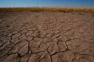南米沖で「エルニーニョ」発生　WMO、異常気象へ警戒訴え