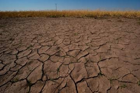 南米沖で「エルニーニョ」発生　WMO、異常気象へ警戒訴え