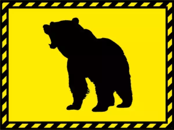 無許可でヒグマ駆除疑い　道警、ハンターら書類送検