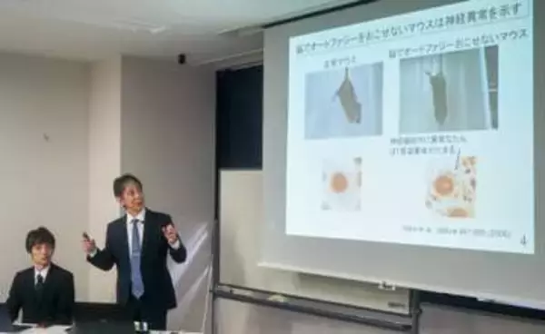 脳の記憶障害、回復できるかも　東大、マウス実験で異常物質除去