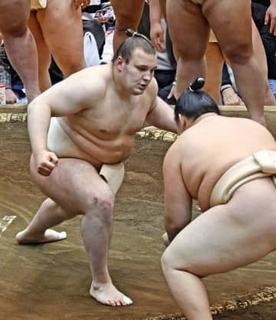 安青錦、新大関で本格始動　長崎で冬巡業始まる