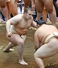 安青錦、新大関で本格始動　長崎で冬巡業始まる