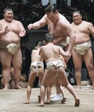 白鵬杯が来年2月、東京で開催へ　元横綱の国際相撲大会、女子新設