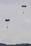 「米軍嘉手納で中止要求の降下訓練　日米合意の飛行場再開後4回目」の画像1