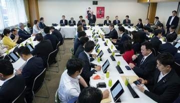 【独自】衆院比例、45自動削減を明記へ　自民法案の基本方針、判明