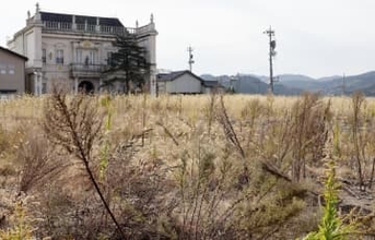輪島「朝市通り」区画整理へ　来年から、能登地震で焼失