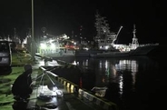 マグロ漁船にクマ、海転落　宮城、岸まで泳いだか