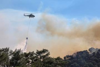 ギリシャで消防士3人死亡　欧州東部にも山火事脅威