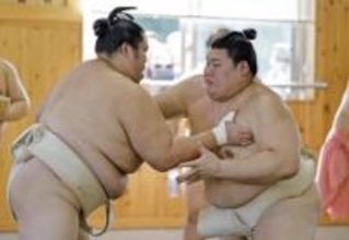 大の里は順調な仕上がり　二所一門連合稽古、琴桜と15番