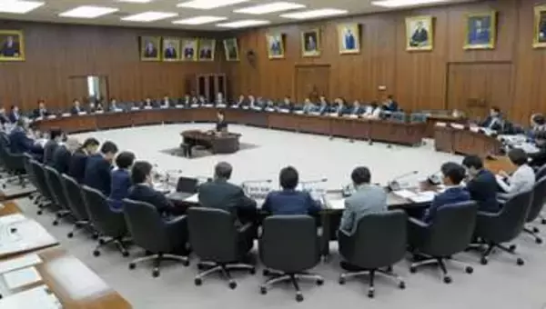 自民、緊急条項の具体案明示を　中道、参院含めた合意要求