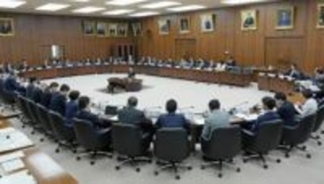 自民、緊急条項の具体案明示を　中道、参院含めた合意要求