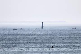 歯舞・貝殻島周辺でコンブ漁解禁　ロシア側に入漁料7667万円
