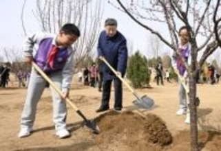 中国、大規模植樹推進へ　花粉症の住民ら悲鳴