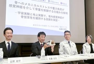 骨の健康、感覚神経の作用が重要　宇宙ステーション飼育と比較実験