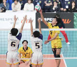 「鎮西、富士見など3回戦へ　全日本高校バレー第2日」の画像1