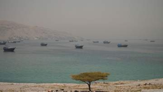 【独自】締結後「海峡を即開放」と最終案　イラン外交筋、戦闘終結へ覚書