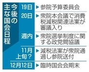 消費減税法案20日審議入り　財源、制度設計は不透明