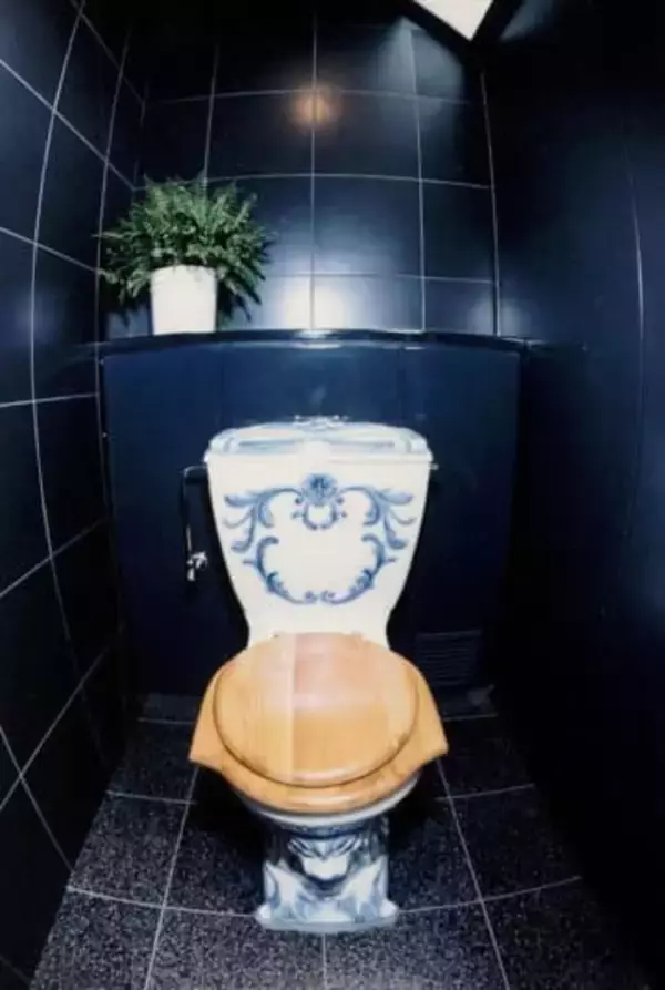 「1億円のトイレ」撤去へ、石川　ふるさと創生で整備