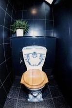 「1億円のトイレ」撤去へ、石川　ふるさと創生で整備