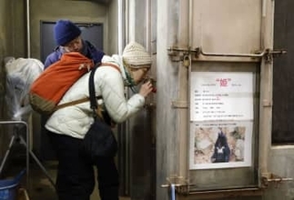 冬眠中クマ、盛岡の動物園で観察　「生態知る機会に」