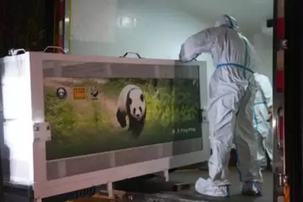 中国からパンダ2頭が米国到着　アトランタで公開へ1カ月検疫